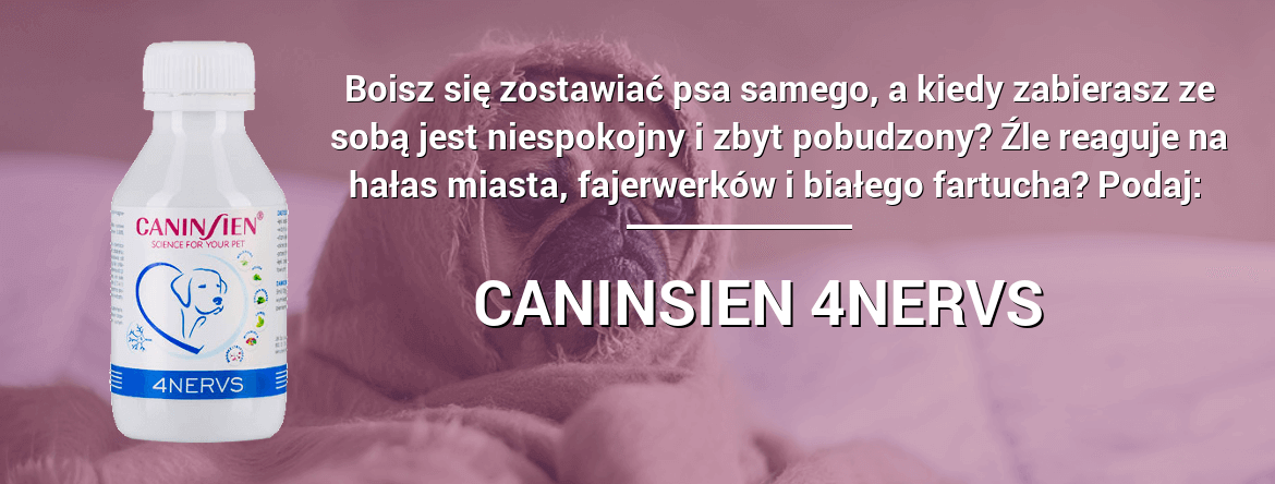 minimalizuje lęk separacyjny, łagodzi napięcie w trakcie wizyty u lekarza weterynarii, łagodzi stany lękowe, wycisza w okresie cieczek, wycisza przed, po i w trakcie podróży, minimalizuje stany lękowe, związane ze zmianą warunków bytowych