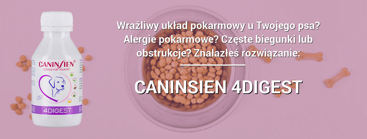 Z tymi problemami ci pomożemy: witaminy dla psa, witaminy dla psów, Alergia pokarmowa u psa, biegunka u psa, zaparcie u psa 