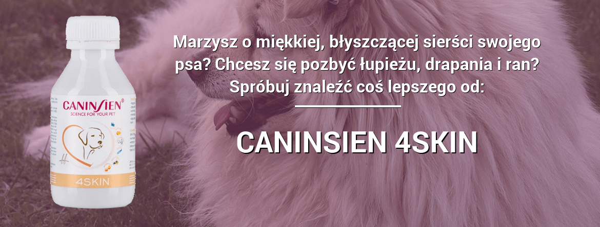 Witaminy dla psów, łagodzi stany zapalne skóry, najlepsza pielęgnacja sierści psa,zapobiega tworzeniu się kołtunów,wzmacnia pigmentację sierści