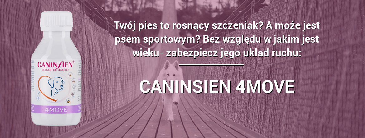 Witaminy dla psów, łagodzi stany zapalne skóry, najlepsza pielęgnacja sierści psa,zapobiega tworzeniu się kołtunów,wzmacnia pigmentację sierści